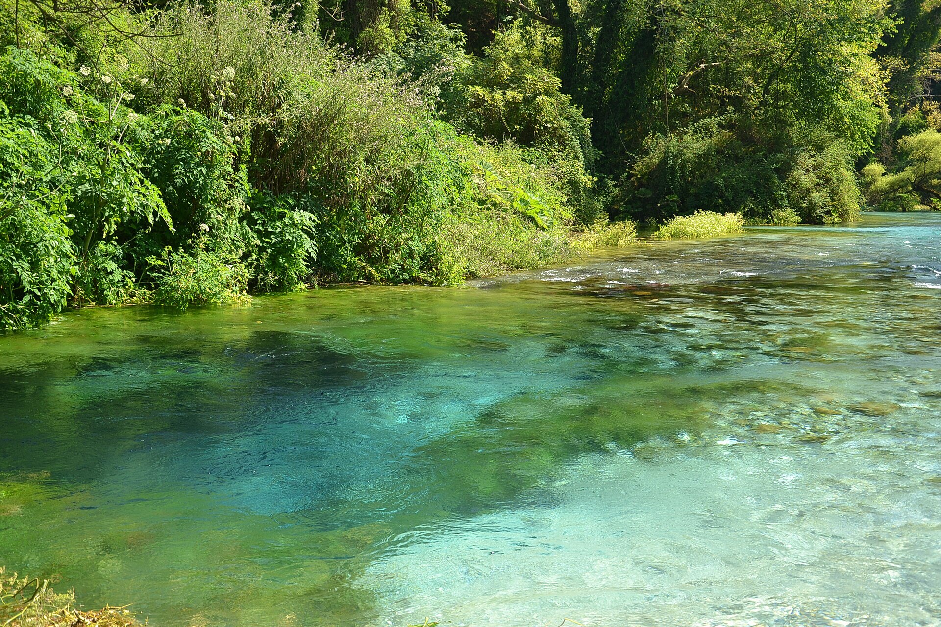 Turquoise water at Blue Eye Spring (Syri i Kaltër), Albania