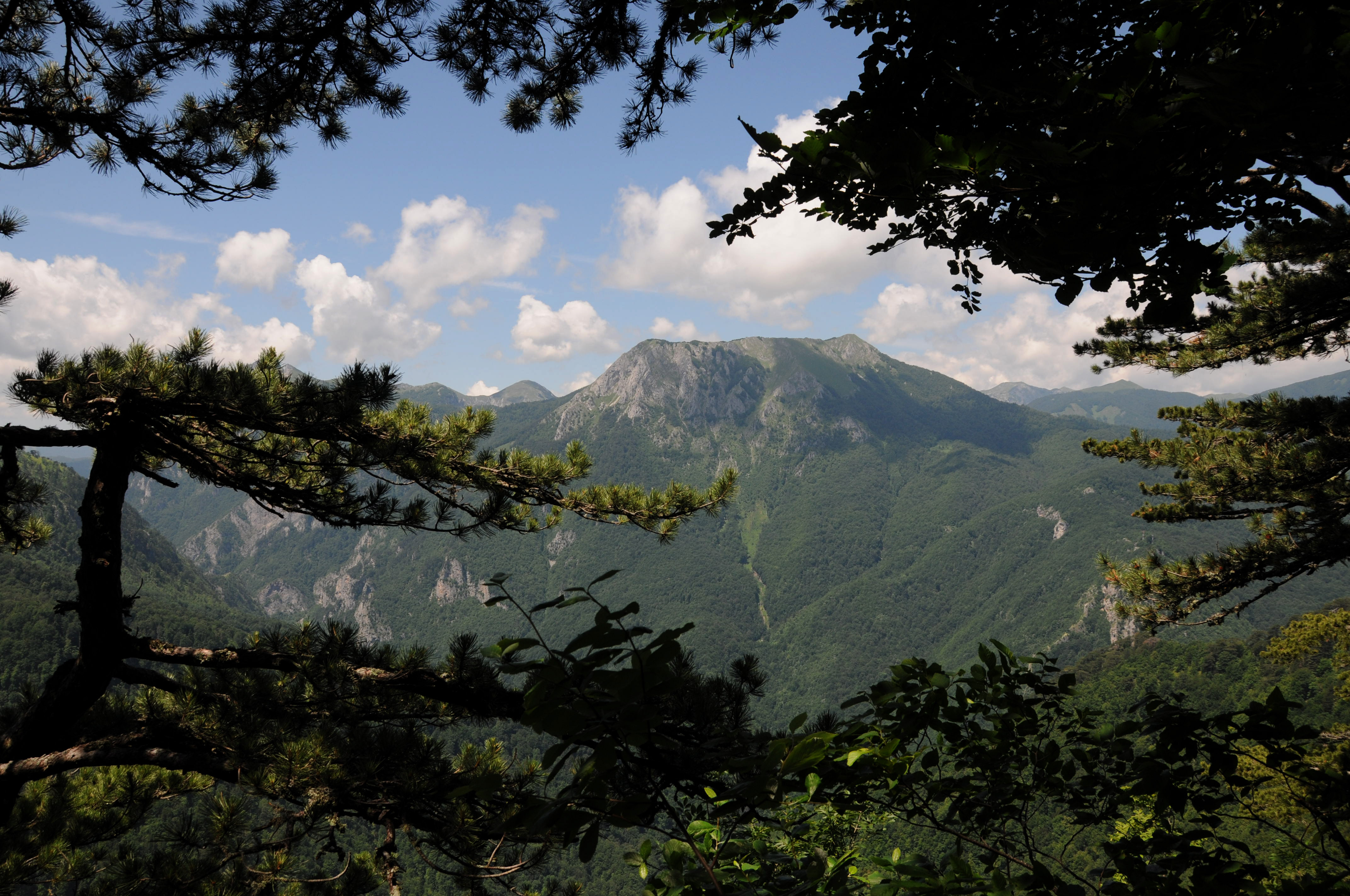 Sutjeska National Park, Bosnia & Herzegovina - travel guide