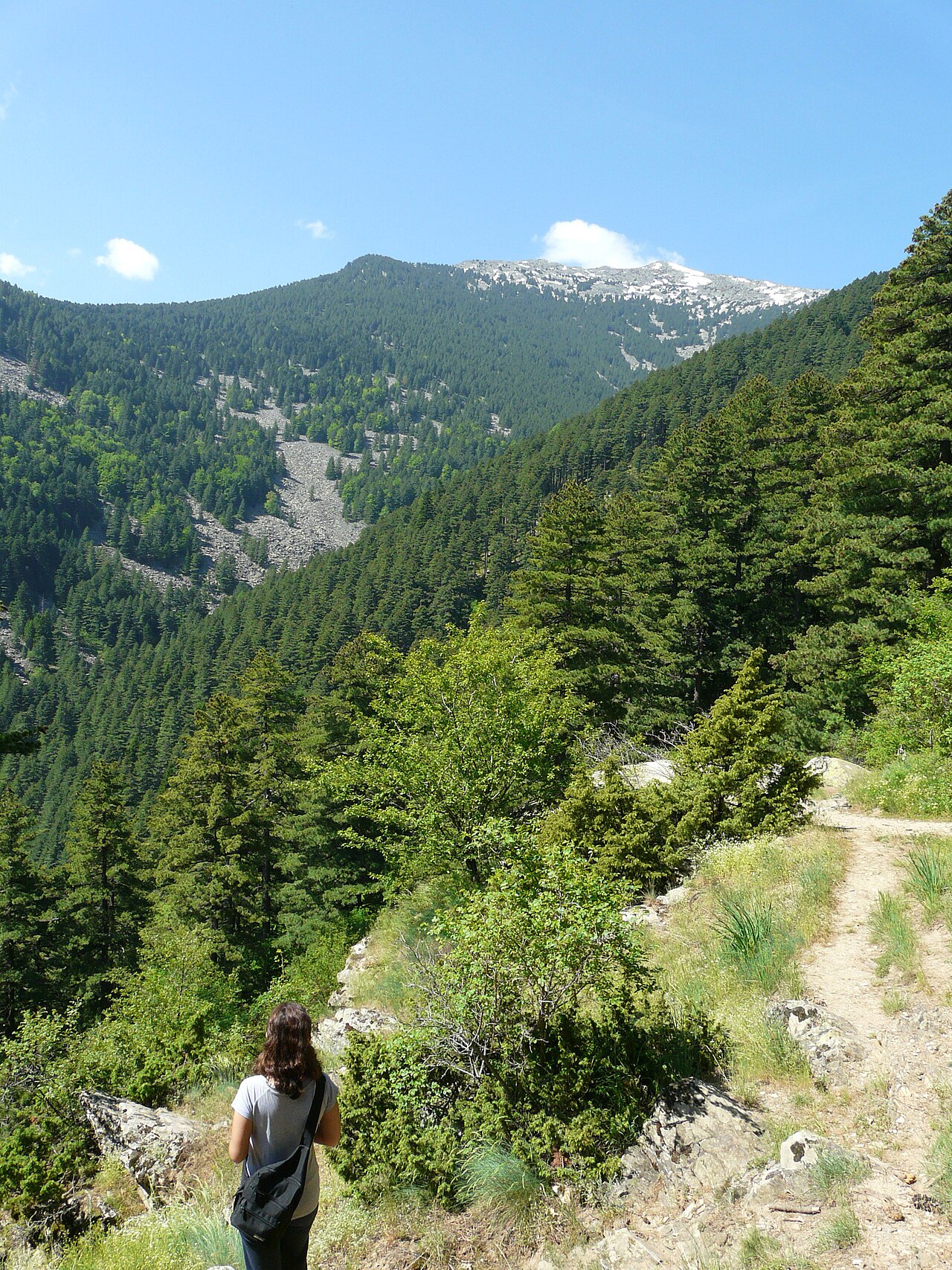 Pelister National Park, North Macedonia