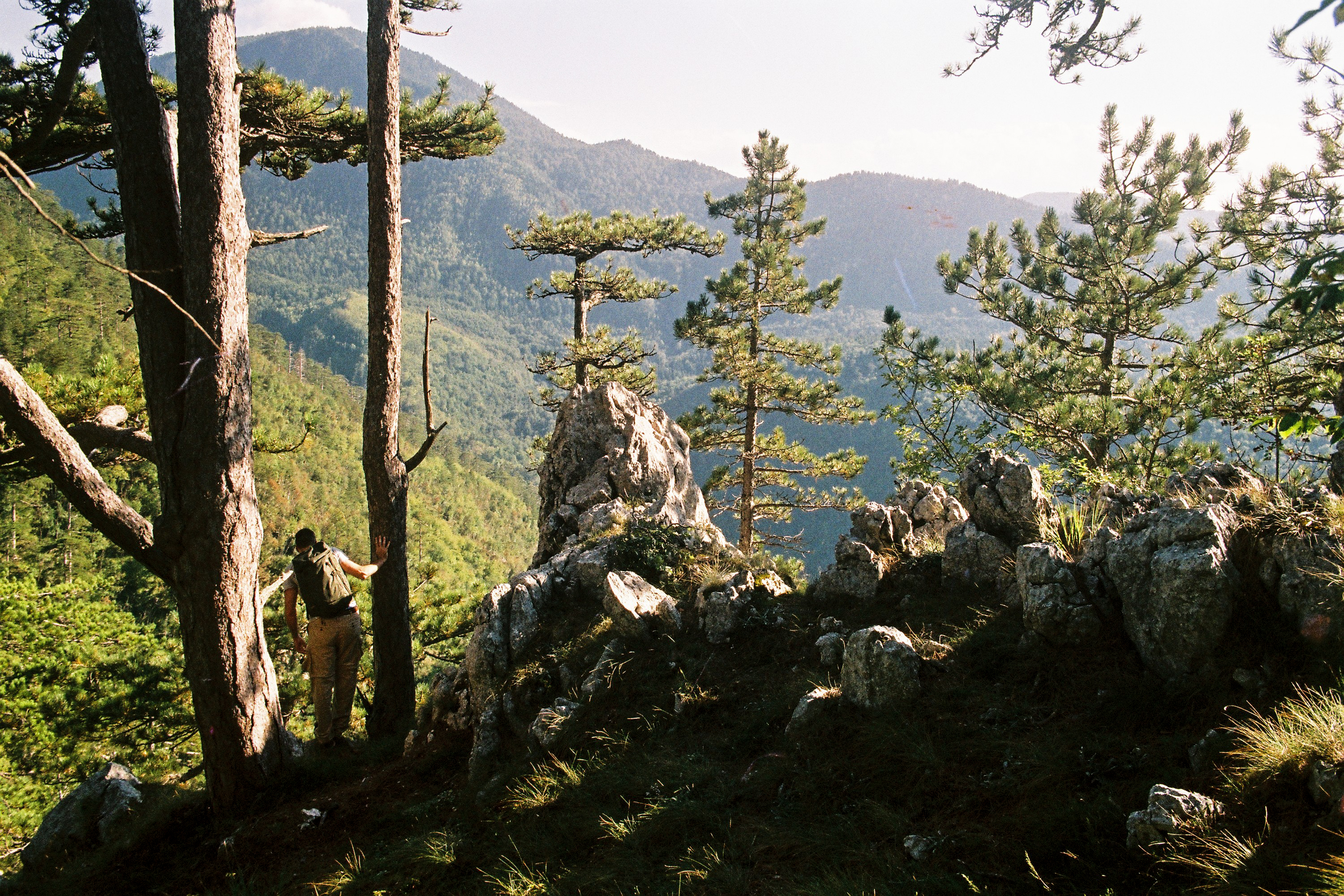 Tara National Park, Serbia - travel guide
